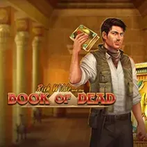Book of Dead play